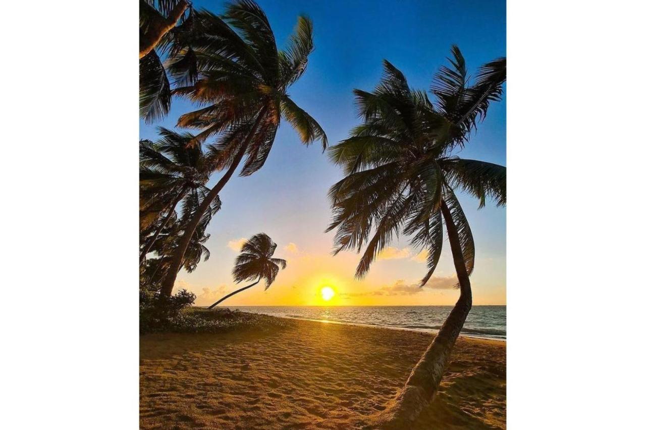 Mare Suites Patacho Pôrto de Pedras Dış mekan fotoğraf